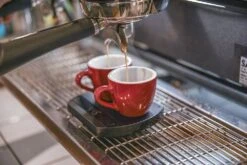 Felicita Arc Waterproof Coffee Scale -Coffee Equipment Store arc copy 2